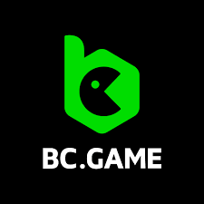 The Rise of BCigra Revolutionizing the Gaming Experience